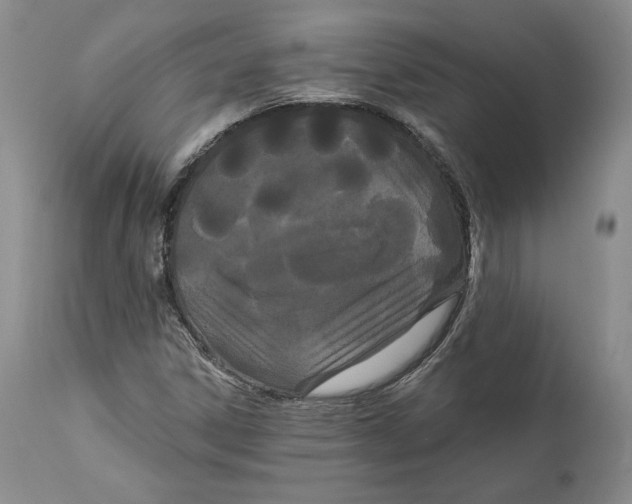 X0000111911306200908241017