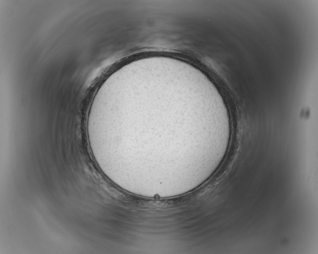 X0000111911307200908241017