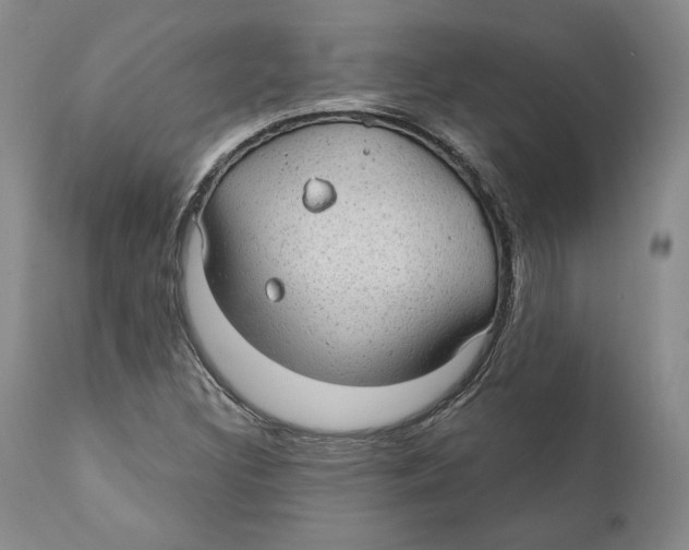 X0000111911308200908241017