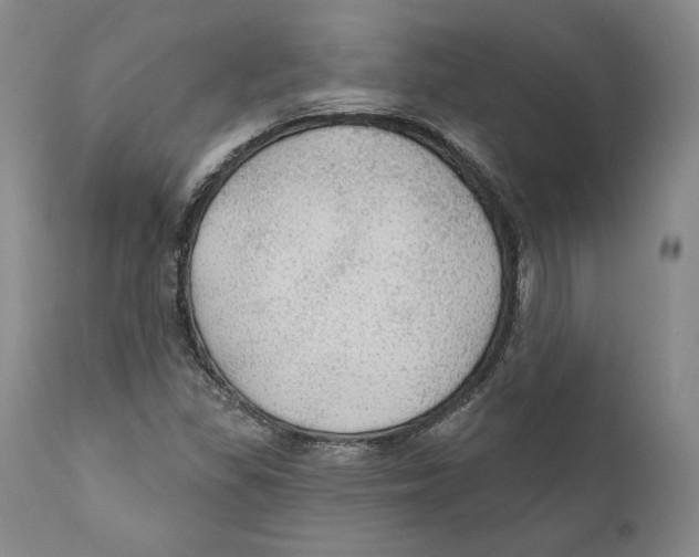 X0000111911309200908241017