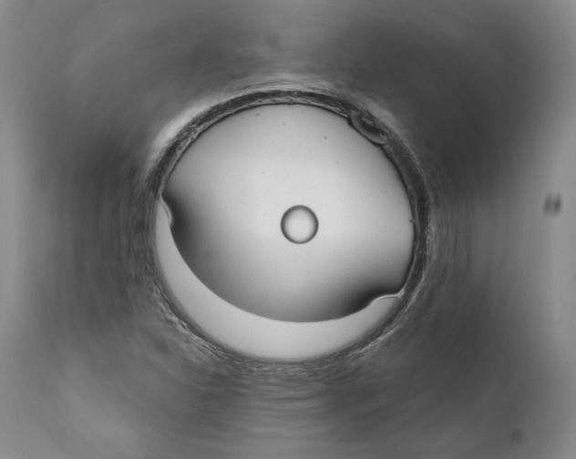 X0000111911310200908241017