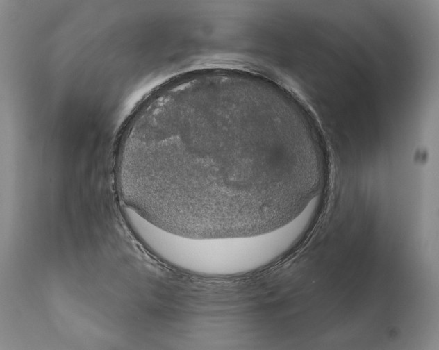X0000111911312200908241017