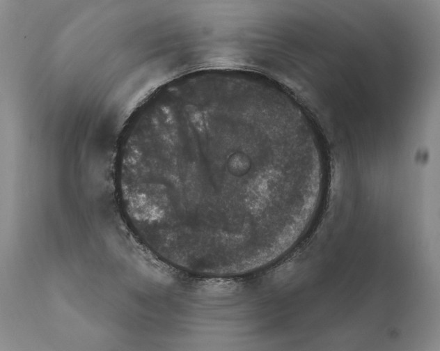 X0000111911314200908241017