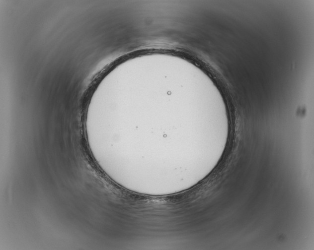 X0000111911315200908241017