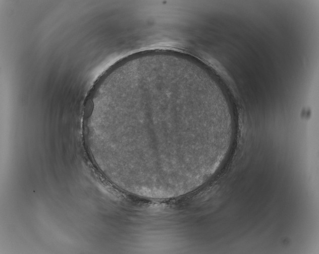 X0000111911316200908241017