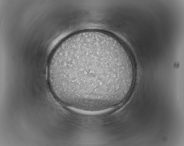 X0000111911317200908241017