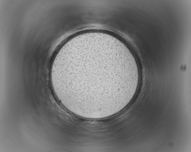 X0000111911318200908241017