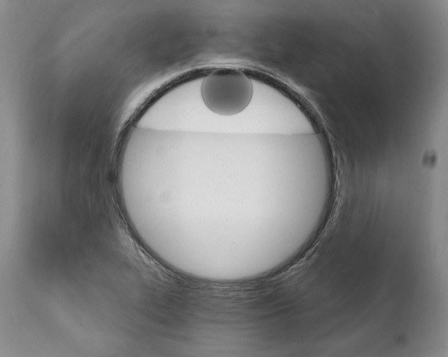 X0000111911319200908241017
