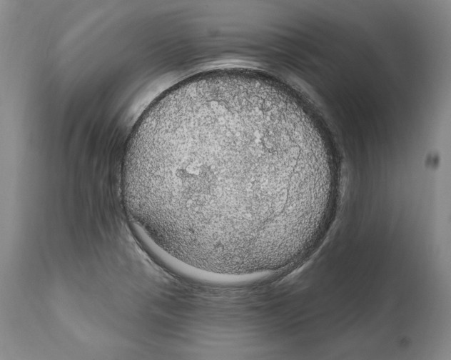 X0000111911321200908241017