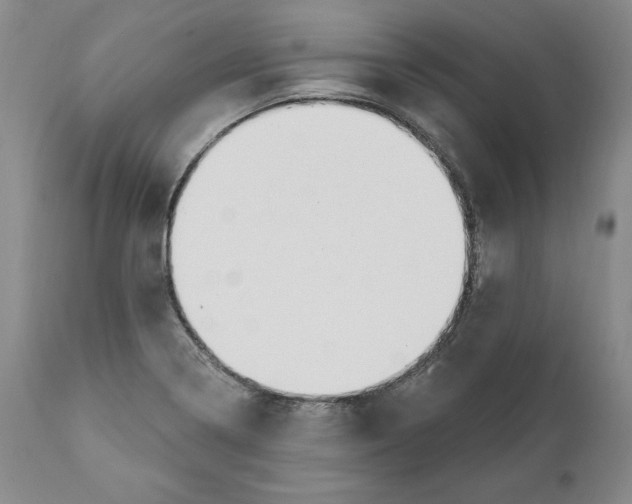 X0000111911322200908241017