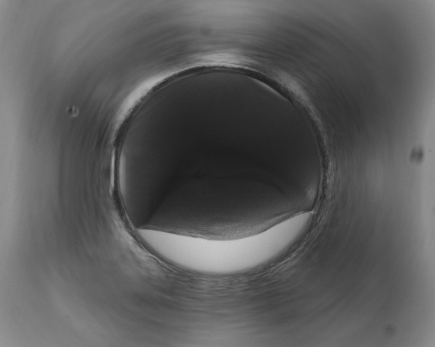 X0000111911323200908241018