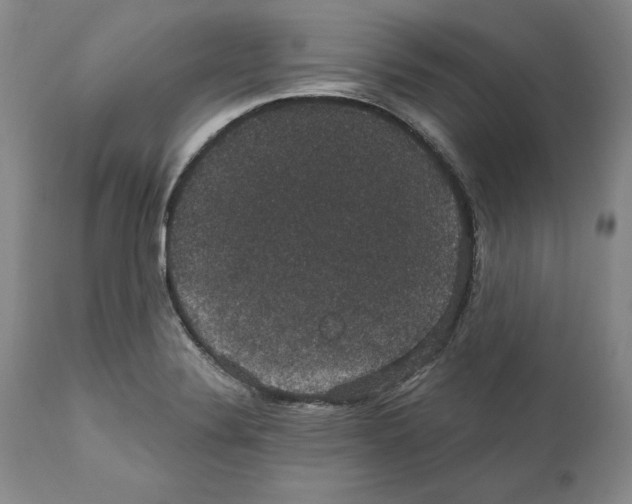 X0000111911324200908241018