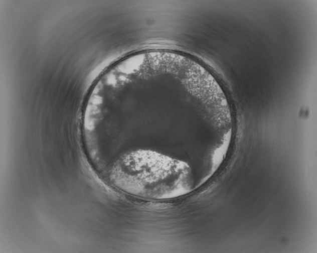 X0000111911325200908241018