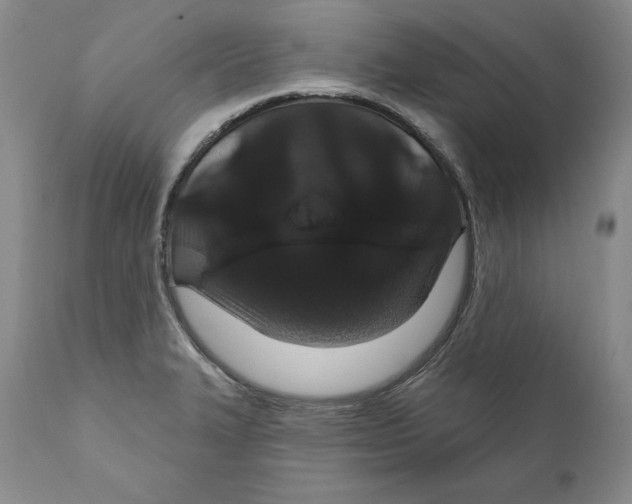 X0000111911327200908241018