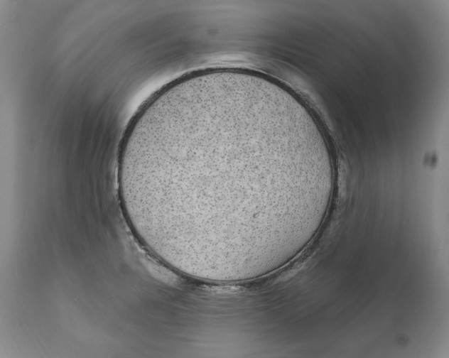 X0000111911328200908241018