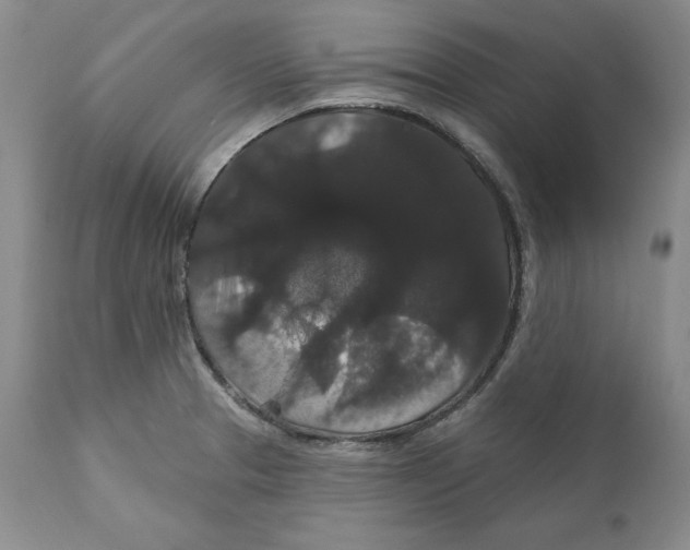 X0000111911329200908241018