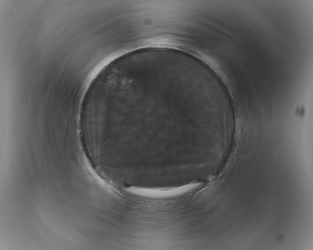 X0000111911331200908241018