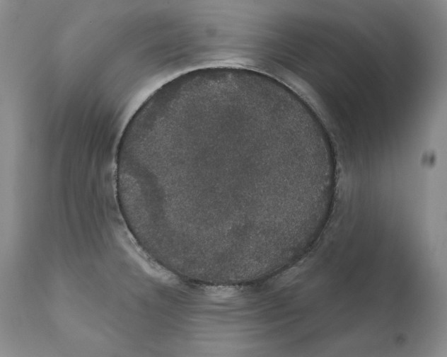 X0000111911332200908241018