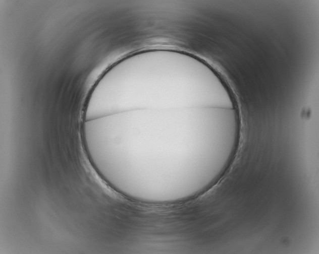 X0000111911333200908241018