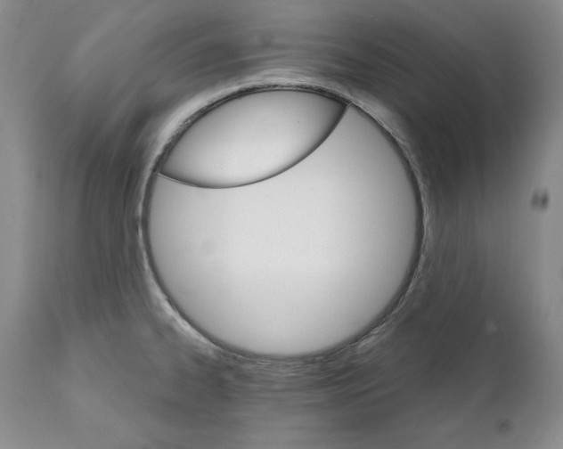 X0000111911334200908241018