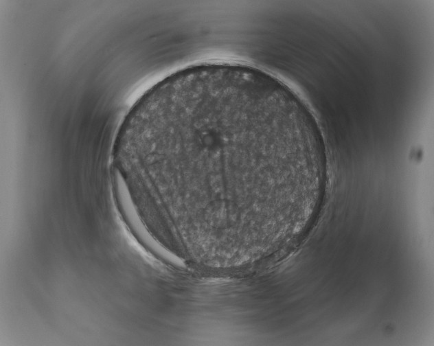 X0000111911335200908241018