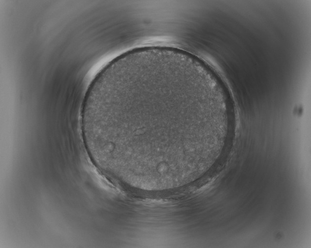 X0000111911336200908241018