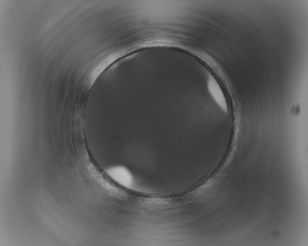 X0000111911337200908241018