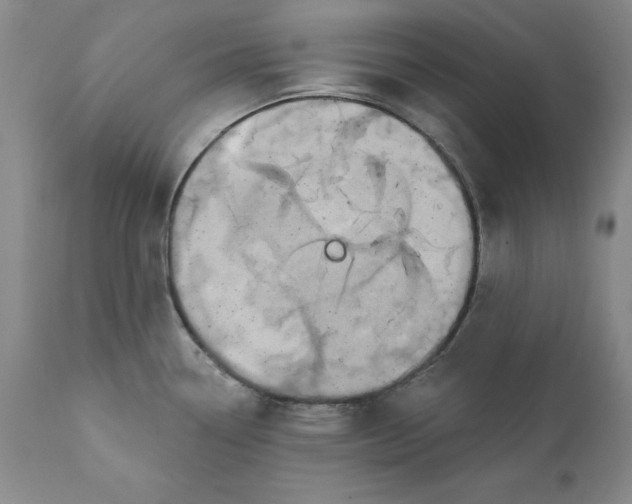 X0000111911338200908241018