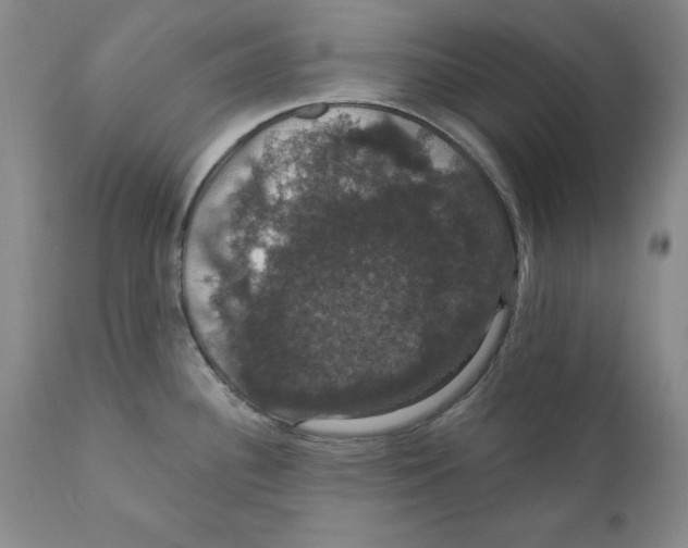X0000111911340200908241018