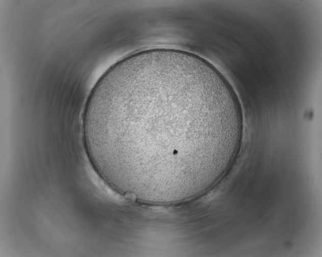 X0000111911341200908241018
