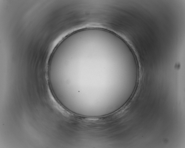 X0000111911342200908241018