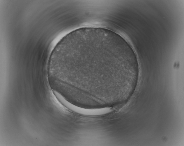 X0000111911344200908241018