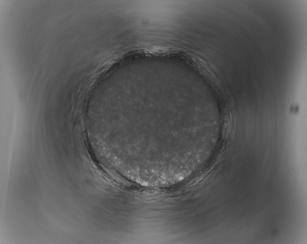 X0000111911345200908241017