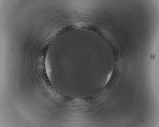 X0000111911346200908241017