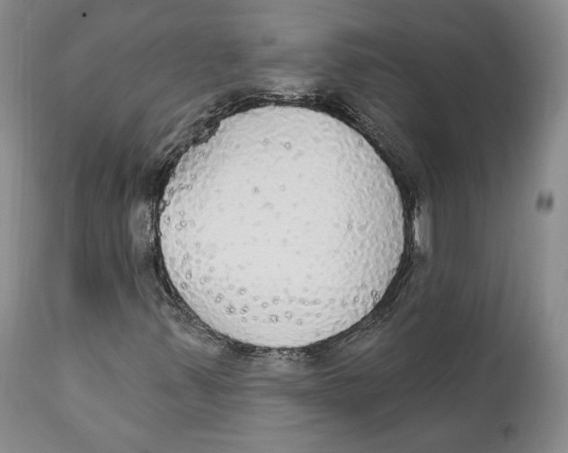 X0000111911347200908241017