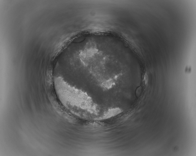 X0000111911348200908241017