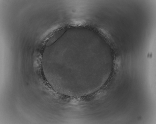 X0000111911349200908241017