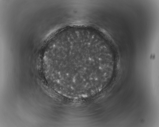 X0000111911350200908241017