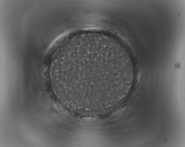 X0000111911351200908241017