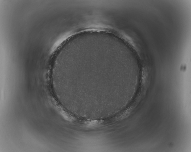 X0000111911352200908241017