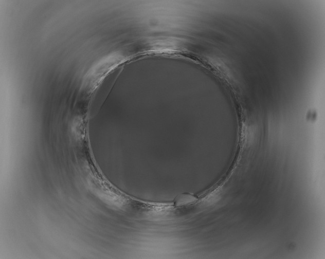 X0000111911353200908241017