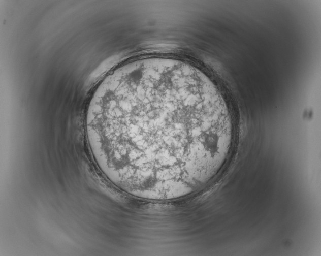 X0000111911354200908241017