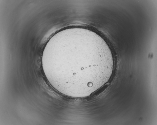 X0000111911355200908241017