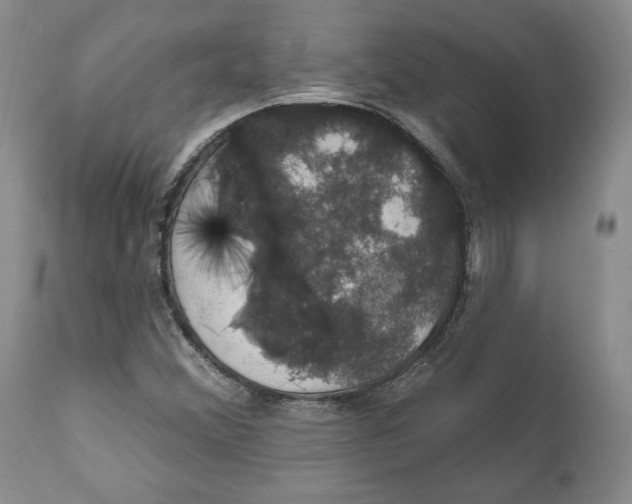X0000111911356200908241017