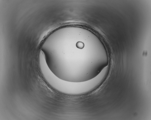 X0000111911357200908241017