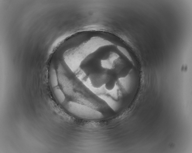 X0000111911358200908241017