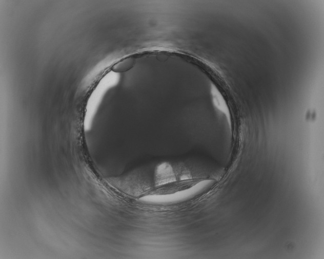 X0000111911359200908241017