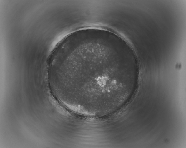 X0000111911360200908241017