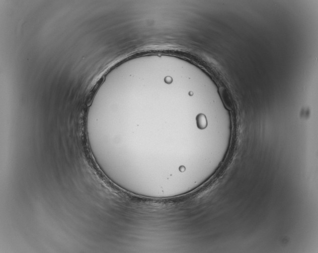 X0000111911361200908241017