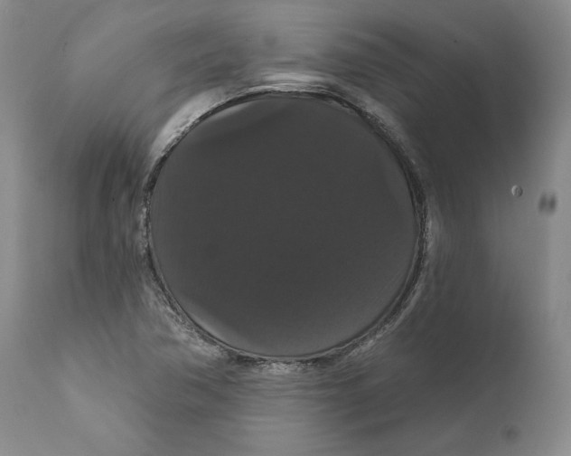 X0000111911362200908241017